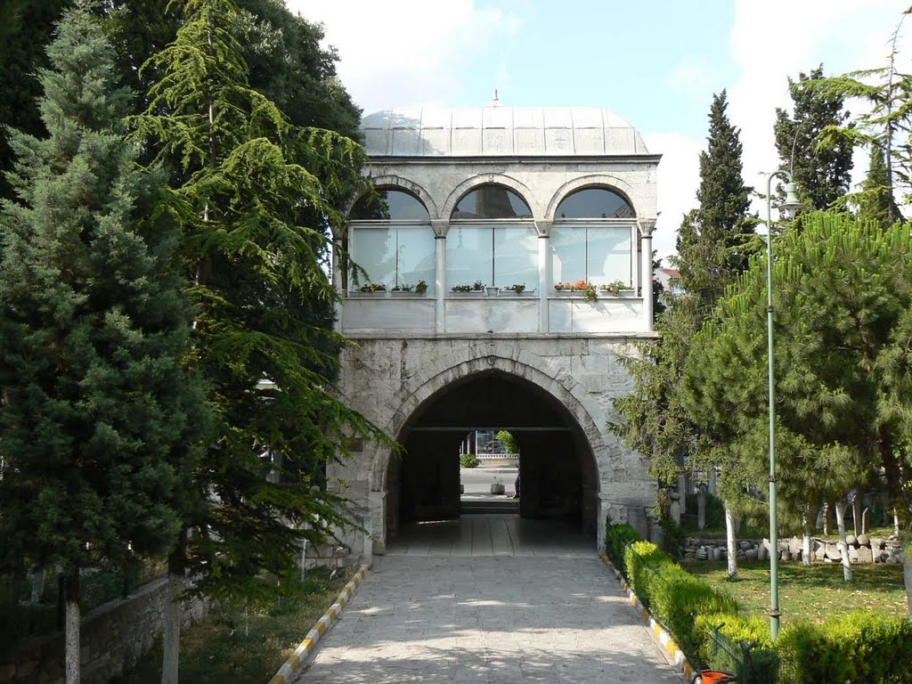 Hekimoğlu Ali Paşa Kütüphanesi 