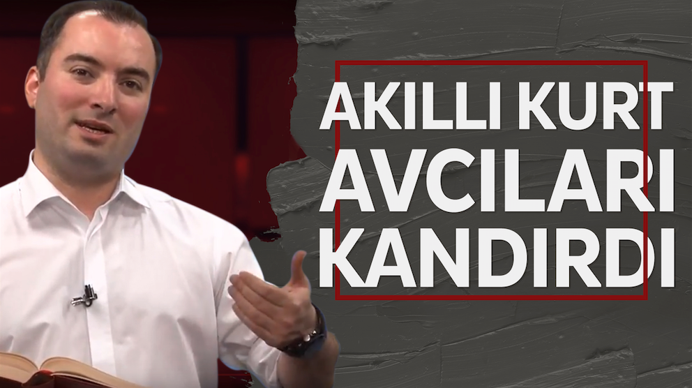 Akıllı Kurt Avcıları Kandırdı