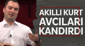 Akıllı Kurt Avcıları Kandırdı