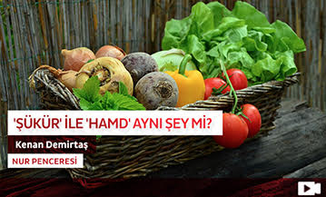 'Şükür' ile 'Hamd' aynı şey mi?