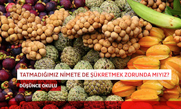 Tatmadığımız Nimete de Şükretmek Zorunda mıyız?