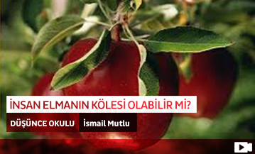 İnsan Elmanın Kölesi Olabilir mi?