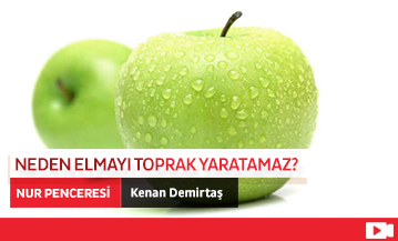 Neden Elmayı Toprak Yaratamaz?