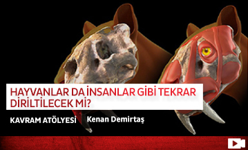 Hayvanlar da İnsanlar Gibi Tekrar Diriltilecek mi?