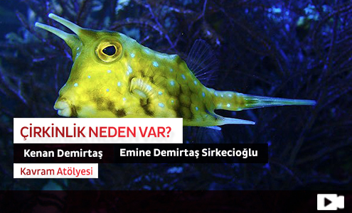 Çirkinlik Neden Var? 