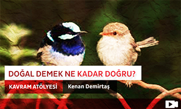 Doğal Demek Ne Kadar Doğru?