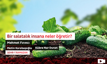 Bir Salatalık İnsana Neler Öğretir?