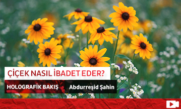 Çiçek Nasıl İbadet Eder?