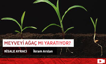 Meyveyi Ağaç mı Yaratıyor?